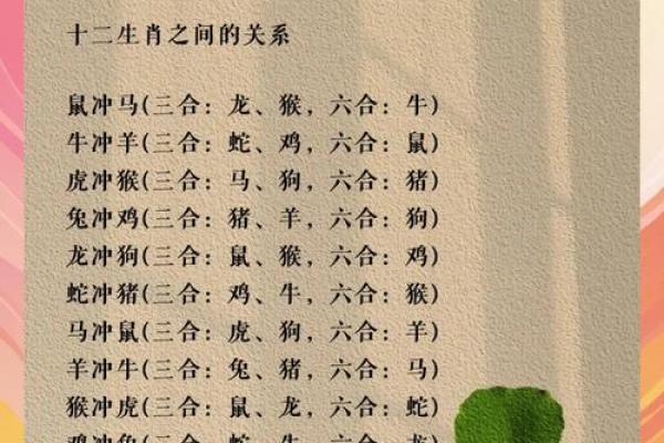 属龙和什么属相最配对 属龙和什么属相相冲