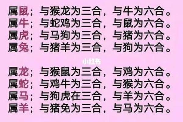 牛属与哪些生肖最佳配对
