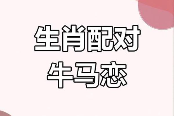 牛属与哪些生肖最佳配对