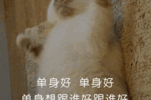 为什么单身？风水：原来是这样