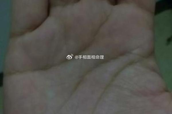 手相算命：川字掌的性格特点