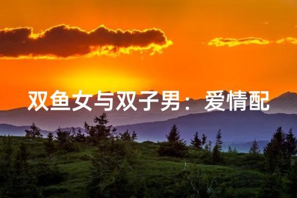 双子男和双鱼女爱情、亲情和友情的配对指数
