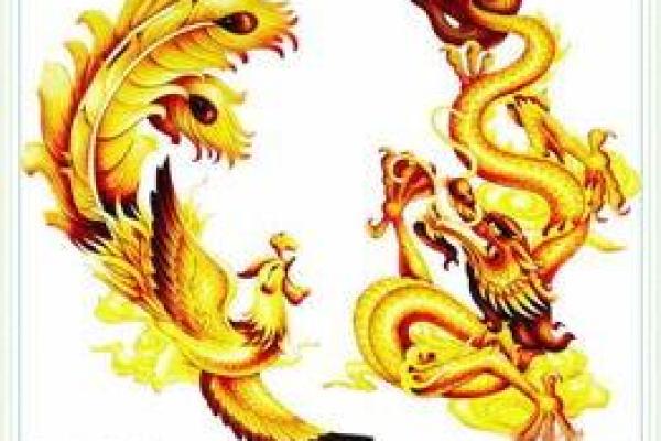 婚姻配对属龙和属猪姻缘怎么样
