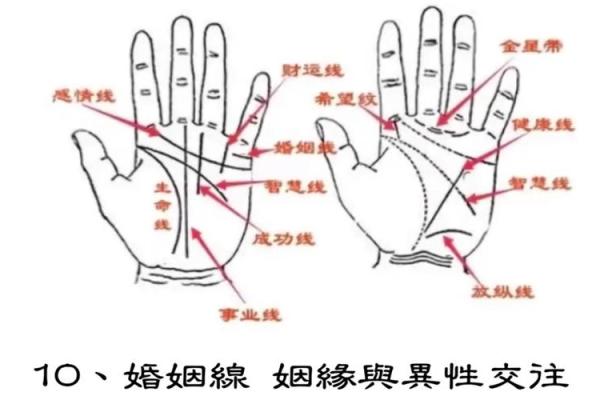 生命线算命：手掌上的玄机真能预测你的命运？