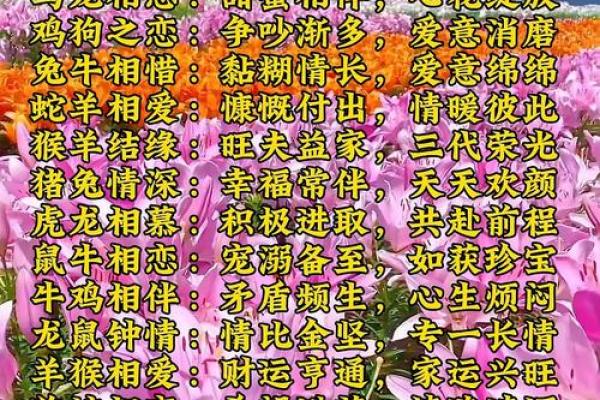 免费姓名配对测姻缘免费测试,免费测姻缘