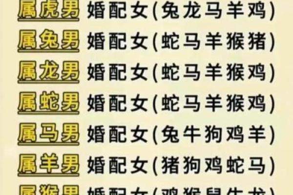 属鸡双子座与属猪处女座配对如何