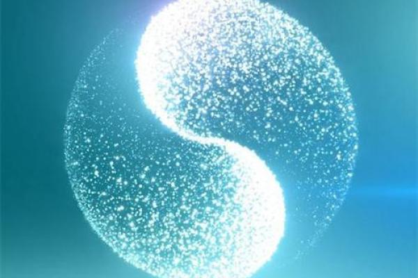 白色车易经风水
