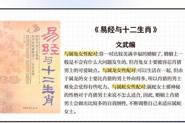 属猪的婚姻配对最佳 属猪的婚配宜忌