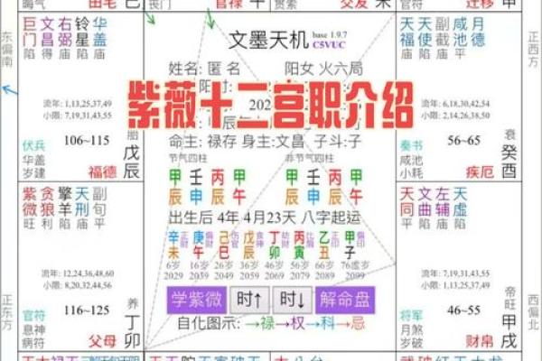 紫薇斗数怎么排盘