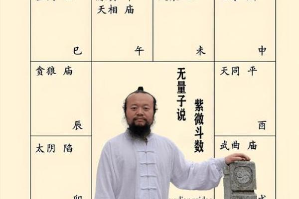 紫微斗数之诸星落命宫参断 紫微斗数之诸星落命宫参断