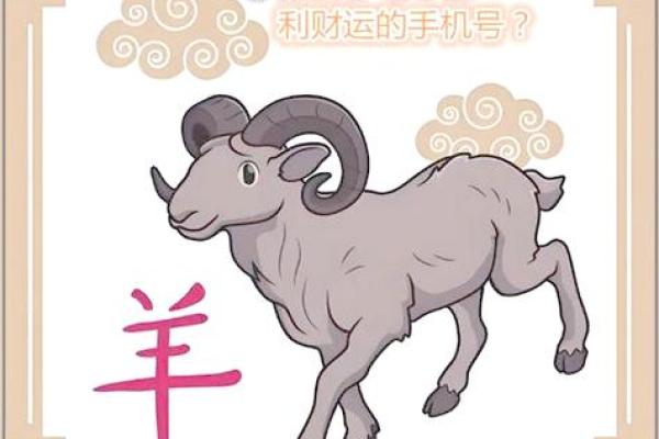 属羊的八字