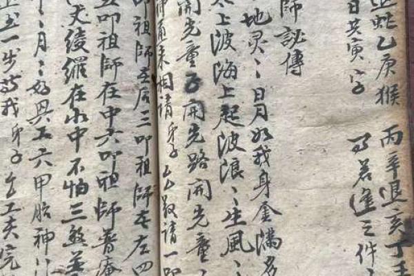 正宗杨公风水_杨救贫和赖布衣谁厉害