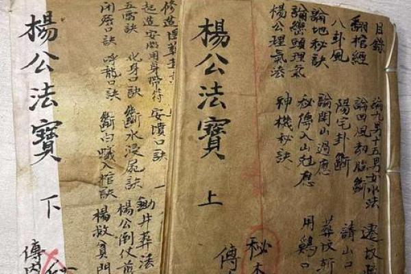 正宗杨公风水_杨救贫和赖布衣谁厉害