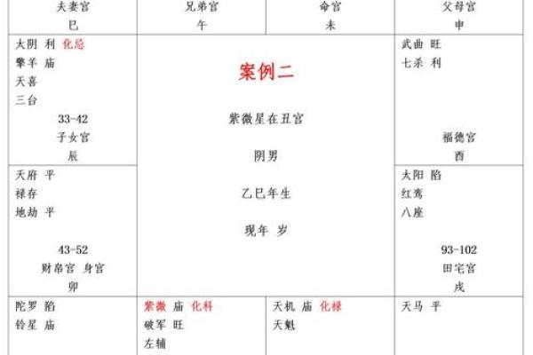 紫薇命盘详解免费版