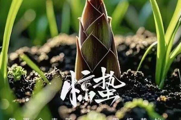古人选择吉日为什么不选惊蛰那天,这是什么意思