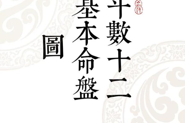 紫薇斗数下载