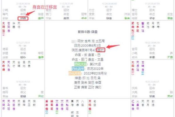 青龙紫薇斗数命宫