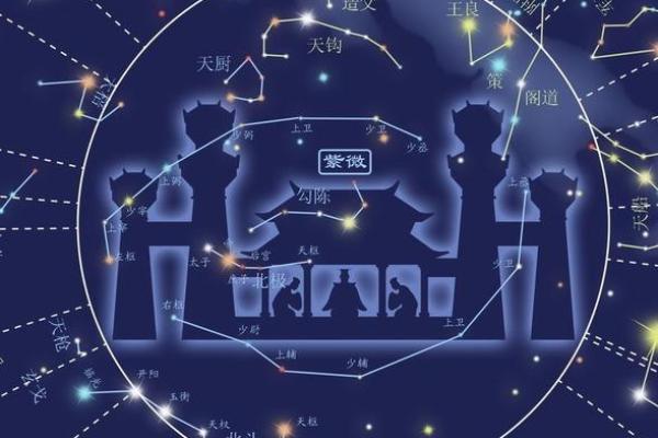 青龙紫薇斗数命宫