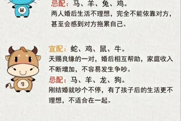 生肖配对：属狗的和什么属相最配