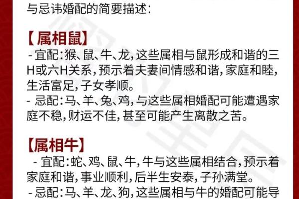 生肖配对：属狗的和什么属相最配