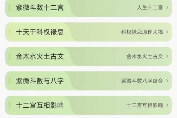 紫薇豆斗数软件