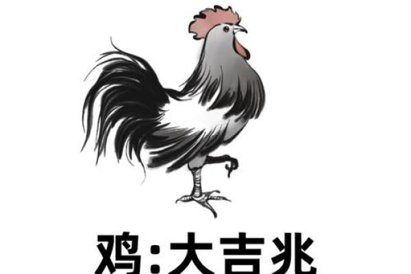 算命婚姻鸡