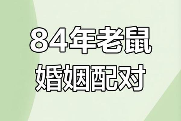 属鼠女金牛座配对合适吗