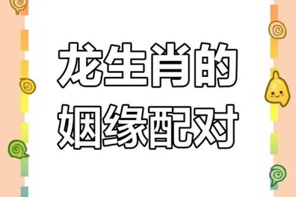 龙跟什么生肖配对最好 生肖龙最佳配对