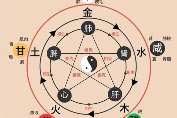人胖与瘦八字命数组合揭秘
