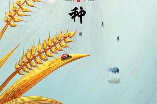 2024年芒种的财神方位在哪？芒种节气的三个物候现象