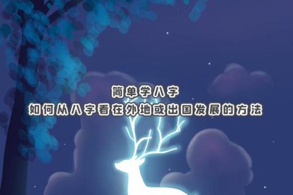 八字出国
