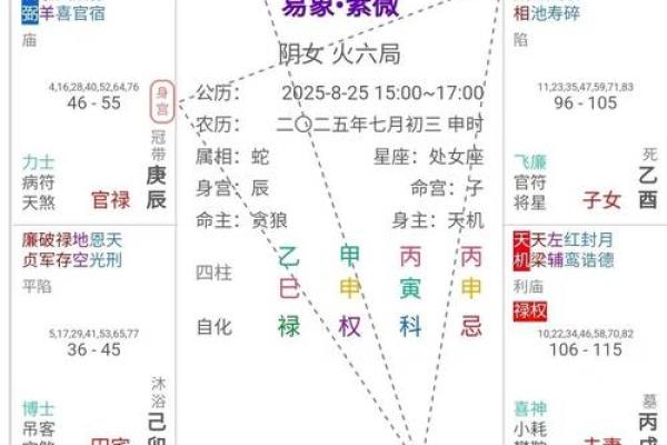 紫薇斗数命宫坐死地