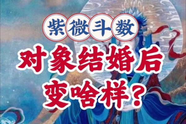 紫薇斗数变景