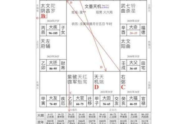 紫薇斗数查命星