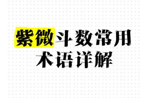 紫薇斗数斗君的意义