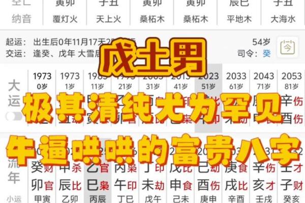 女命上等命的富贵八字是什么样的
