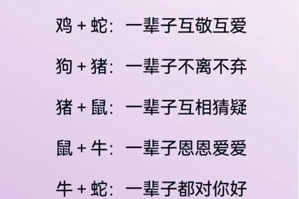 生肖配对查询男女