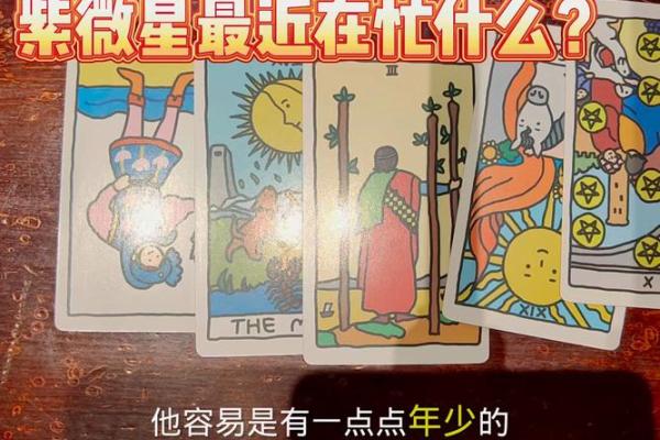 紫薇斗数比塔罗