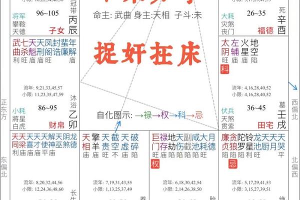 紫薇斗数测试APP