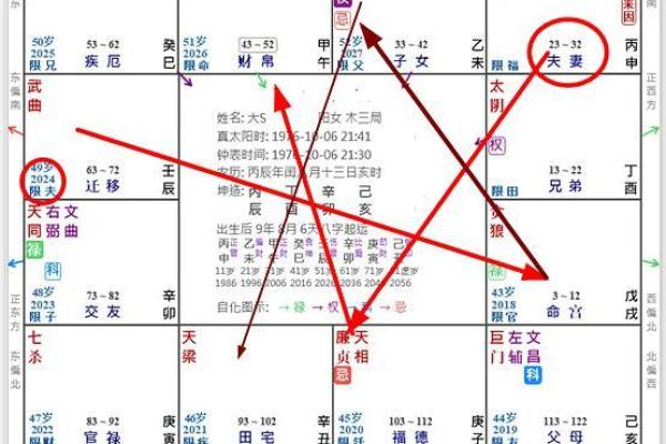 紫薇斗数正格