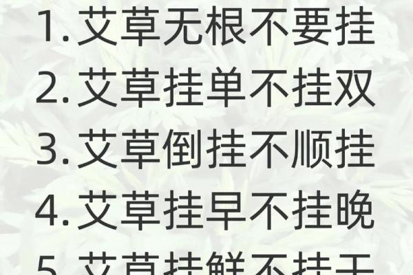 风水习俗端午挂艾草是单还是双解答