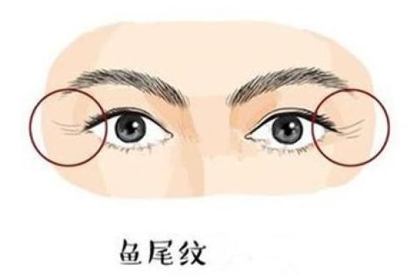 烧蛋算命怎么解释