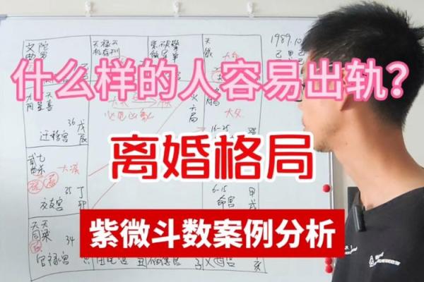 紫薇斗数看妻子经商