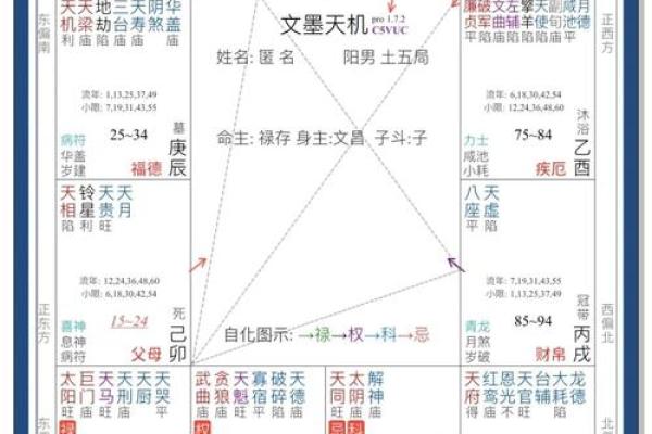 紫薇斗数看妻子经商