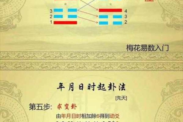 梅花易数的方位怎么定
