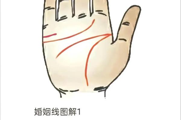 掌纹算命图解 通过手相看智慧