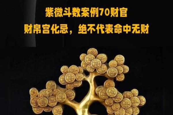 紫薇斗数财阜宫