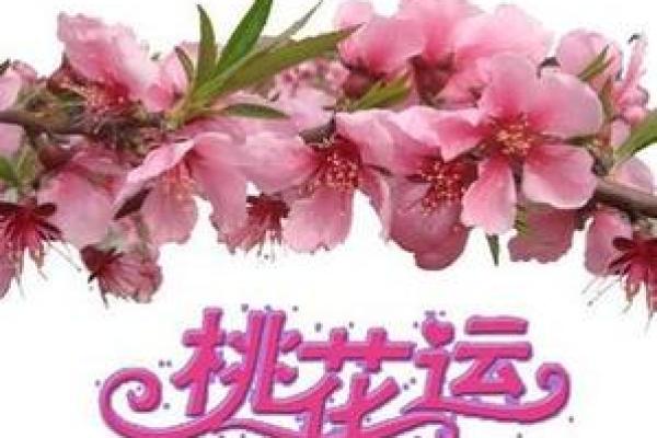 算命说今年倒插桃花