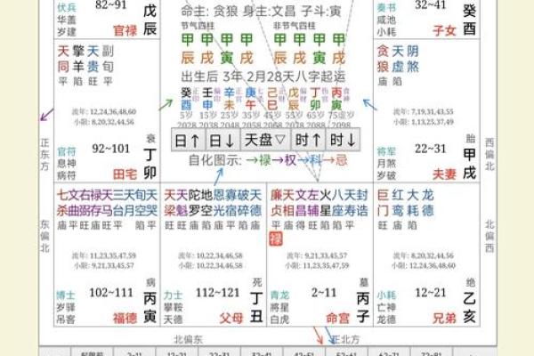 中州紫薇斗数流月