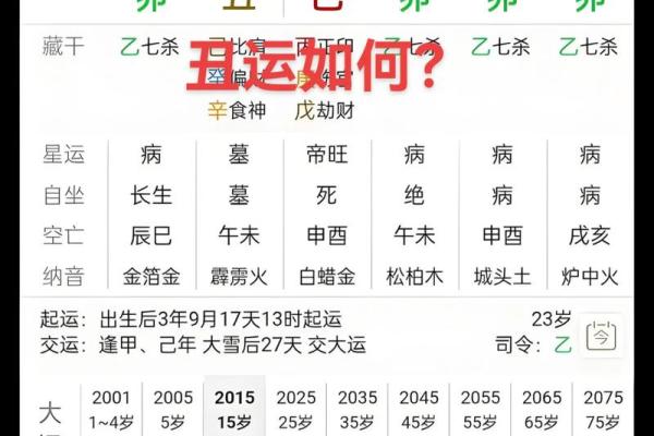 八字已卯
